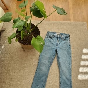 Everlane Kick Crop Jean